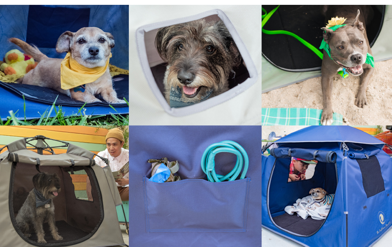 Pop 'N Go Pets Playpen